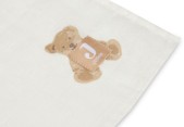 Jollein Hydrofiele Doek Large 115x115cm Teddy Bear- 2 St