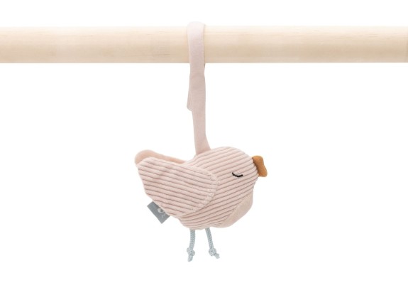 Eindeloos Speelplezier Babygym Speeltjes - Vogels