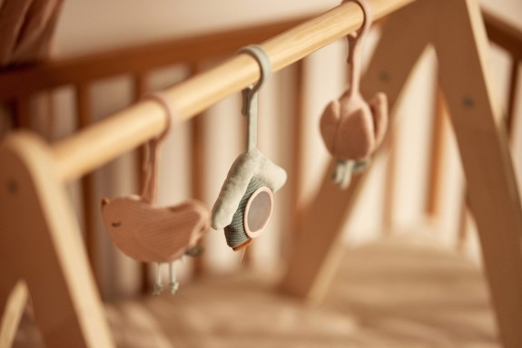 Eindeloos Speelplezier Babygym Speeltjes - Vogels