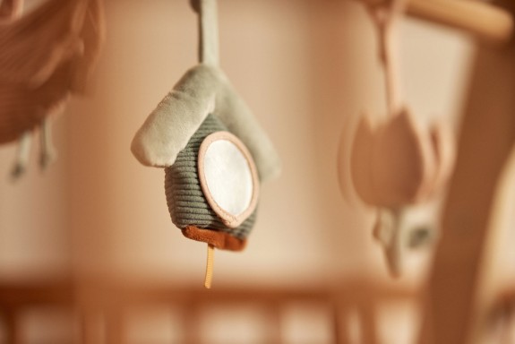 Eindeloos Speelplezier Babygym Speeltjes - Vogels