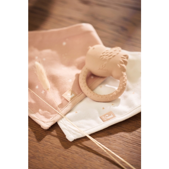 Jollein - Rubberen Bijtring - Lovely Birds