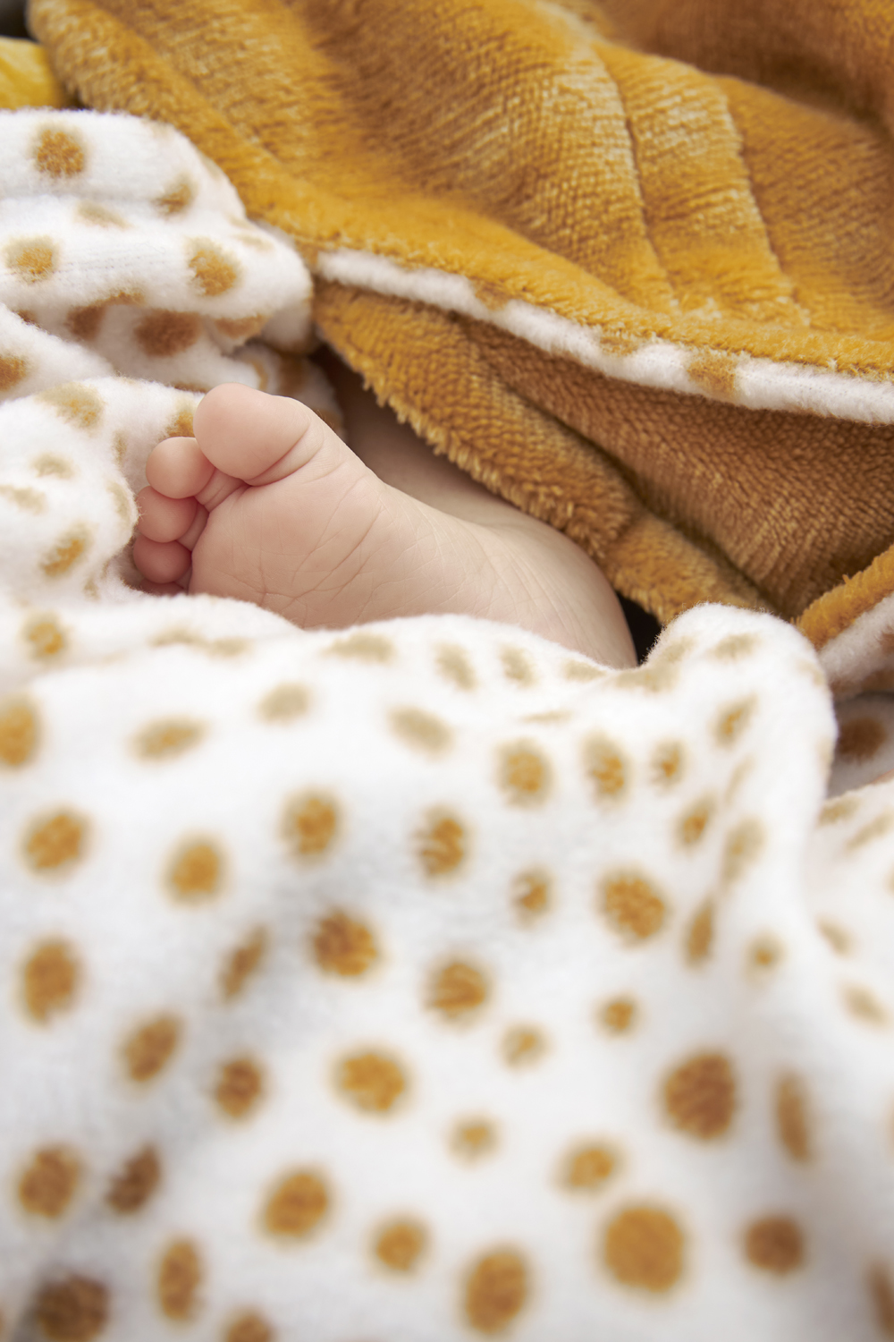 Wikkeldeken Fleece Cheetah - Goud - afbeelding 4