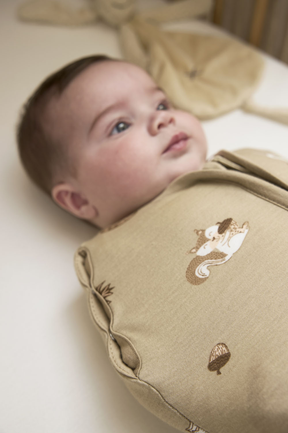 Inbakerslaapzak Forest Animals - Sand - 70cm - 0.3 TOG - afbeelding 8
