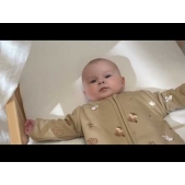 Inbakerslaapzak Forest Animals - Sand - 70cm - 0.3 TOG