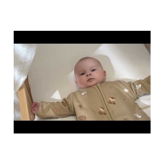 Inbakerslaapzak Forest Animals - Sand - 70cm - 0.3 TOG