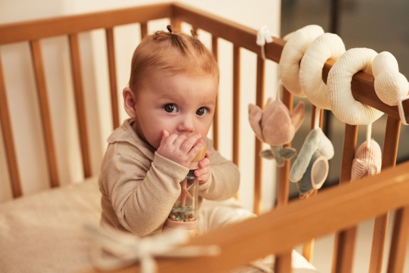 Jollein - Houten Regenrammelaar - Vrolijke Vogels