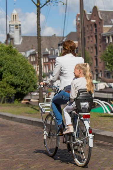 Qibbel Junior 6+ - Fietsstoeltje Achter - Blauw/Bruin