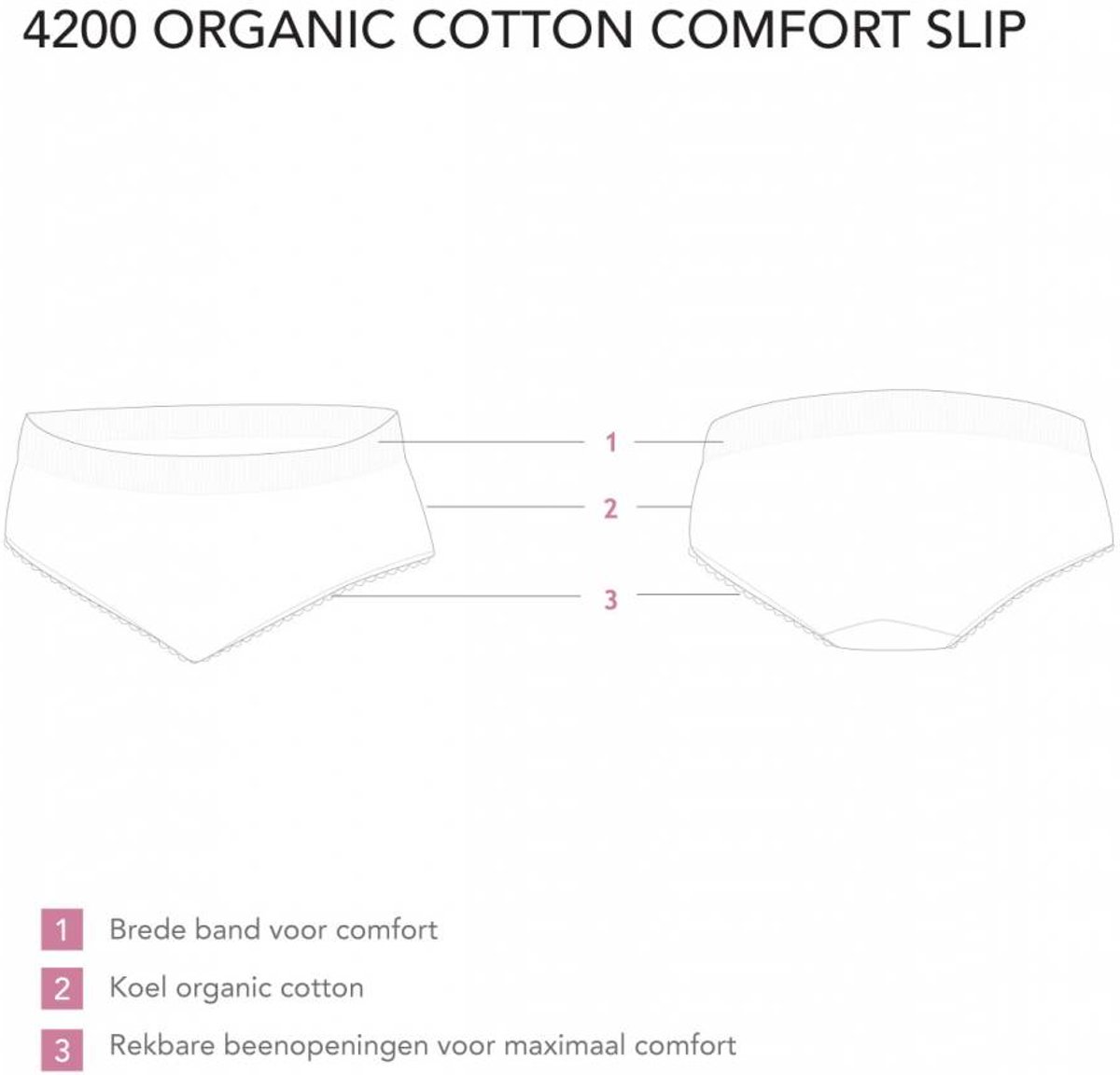Slip Biokatoen - Ecru - L  - afbeelding 3