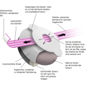 Alpine Muffy - Gehoorbescherming Baby Peuter  Zwart