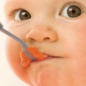 Philips Avent SCF870/20 - Stomer