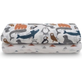 Jollein Hydrofiele doeken Large - Polar - 115x115cm - 2p