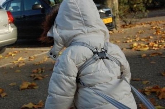 Jippie's - Veiligheidstuigje - Grijs