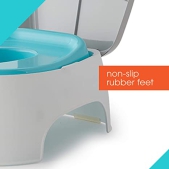 Summer Infant 2-in-1 Step Up Potty